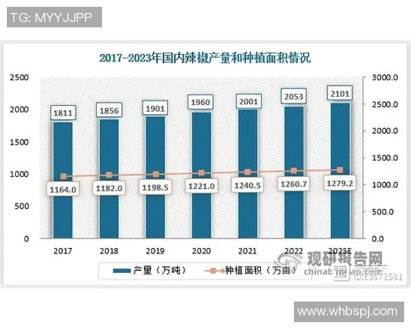 代怀博的成长之路与未来发展潜力分析