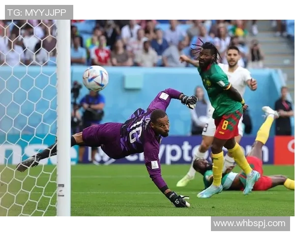 喀麦隆与德国足球对抗赛精彩回顾与战术分析