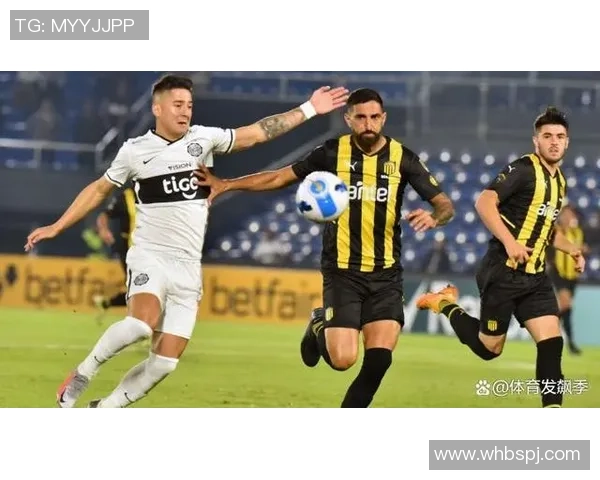 波特诺山丘与河床比赛前瞻分析及胜负预测探讨