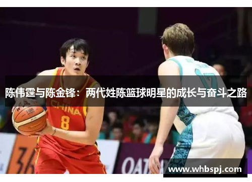陈伟霆与陈金锋：两代姓陈篮球明星的成长与奋斗之路
