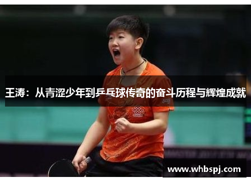 王涛：从青涩少年到乒乓球传奇的奋斗历程与辉煌成就