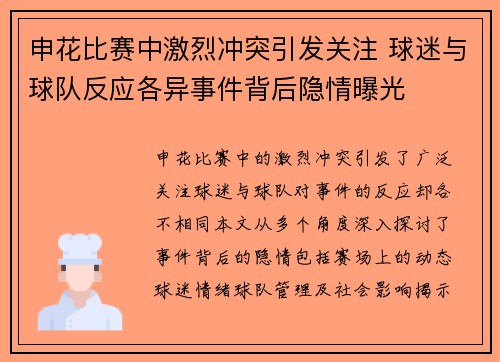 申花比赛中激烈冲突引发关注 球迷与球队反应各异事件背后隐情曝光
